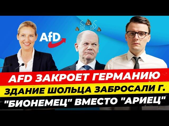 Главные новости 14.1: AfD закроет Германию, здание Шольца в г**не, кто такой “БИОнемец” Миша Бур