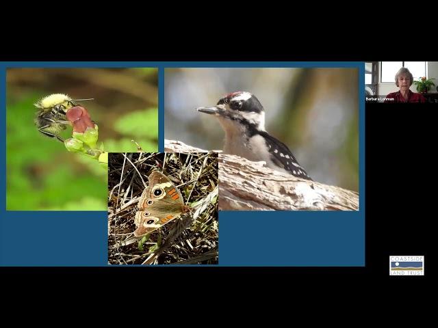 Coastside Open Spaces- Junior Land Stewards Virtual Environmental Science Program (Session 4)