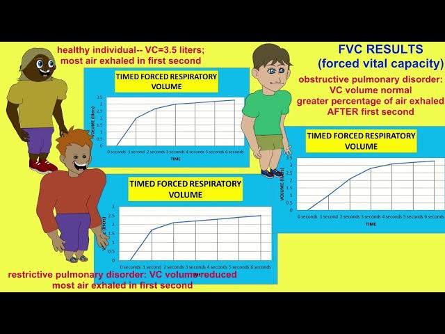 FORCED VITAL CAPACITY