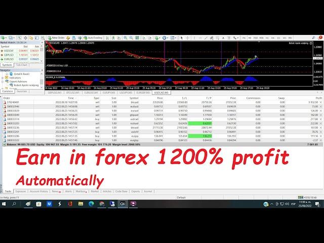 Live forex Trading (Auto Scalping robot)