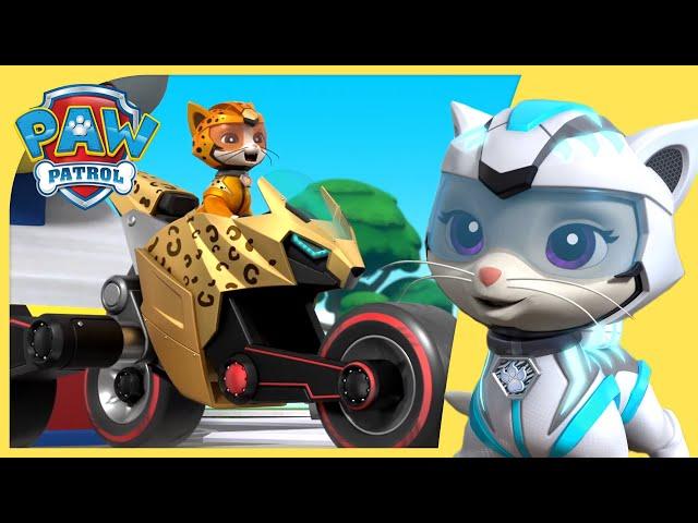 Cat Pack Stops a Giant Ball of Yarn  + More Cartoons for Kids | PAW Patrol