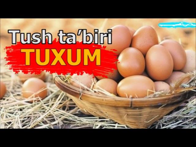 Тухум Тушда  Курса - Tushda Tuxum Kursa - tushida tuxumni ko'rishni anglatadi Tush Tuxum