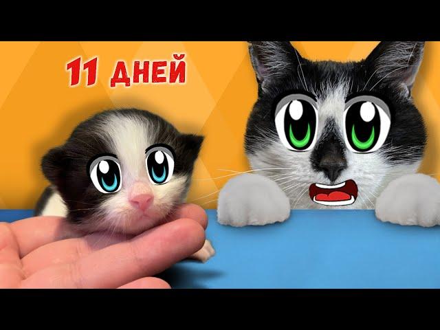 КОТЯТА ОТКРЫЛИ ГЛАЗКИ! ВЫБРАЛИ ИМЕНА для КОТИКОВ! КОШЕЧКА ИСА СТАЛА МАМОЙ! ИСТОРИЯ БЕЗДОМНОЙ КОШКИ