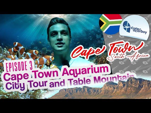 Cape Town Travel Guide: 3 - Cape Town Aquarium, City Tour and Table Mountain