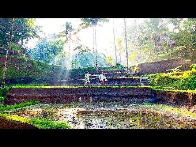 Tegallalang Rice Fields - Ubud, Bali