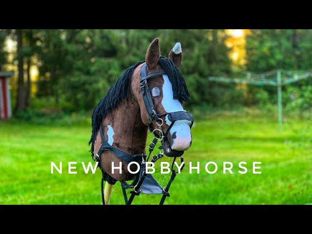 Mein neues Finnisches Hobbyhorse auspacken!+Navajo 1 mal reiten