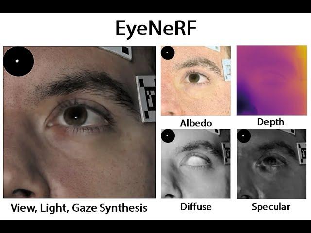 EyeNeRF: A Hybrid Representation for Photorealistic Synthesis Animation and Relighting of Eyes 30sFF