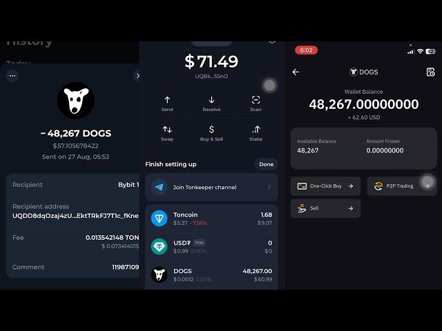 $DOGS airdrop claim | How to transfer $DOGS token from Tonkeeper to ByBit or Binance