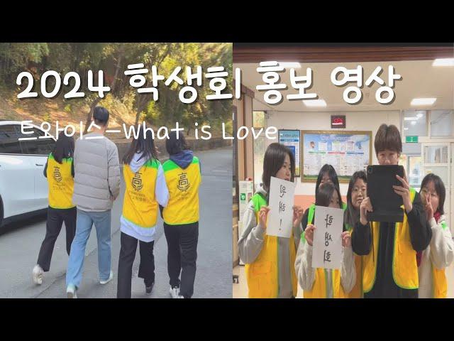 [진영제일고] 2024 학생회 홍보 영상 (트와이스-what is love)