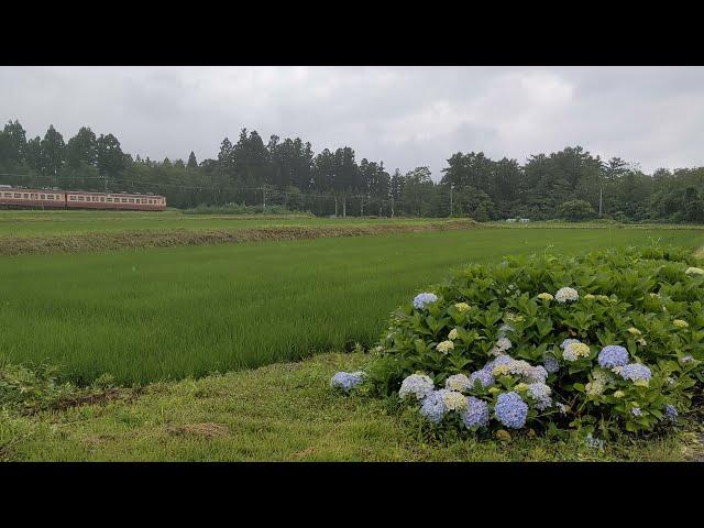 梅雨空の下、急勾配を駆け上がる455,413系