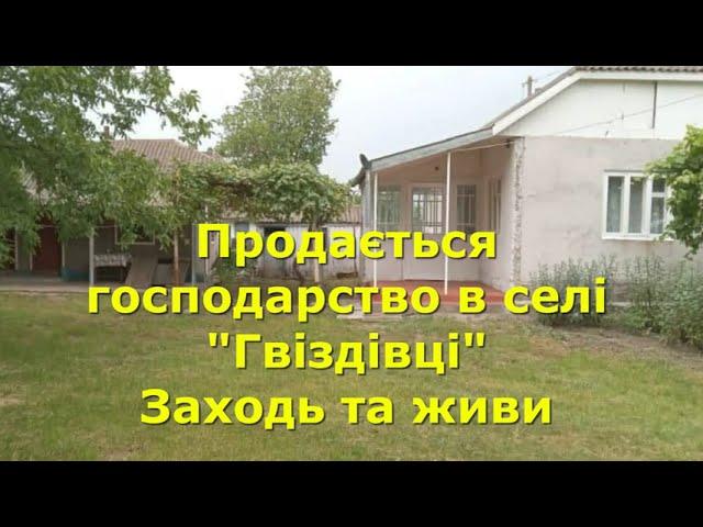 БУДИНОК ПРОДАМ В СЕЛІ "ГВІЗДІВЦІ", ЗАХОДЬ І ЖИВИ / ОГЛЯД /   Чернівецької обл