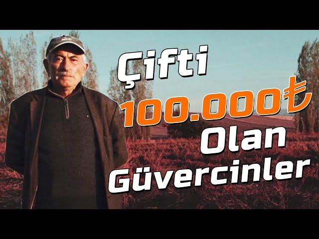 "Bu kuşları almak isteyen bir çanta parayla gelmesi lazım!" Fırıncı Mahmut Kümes Ziyareti