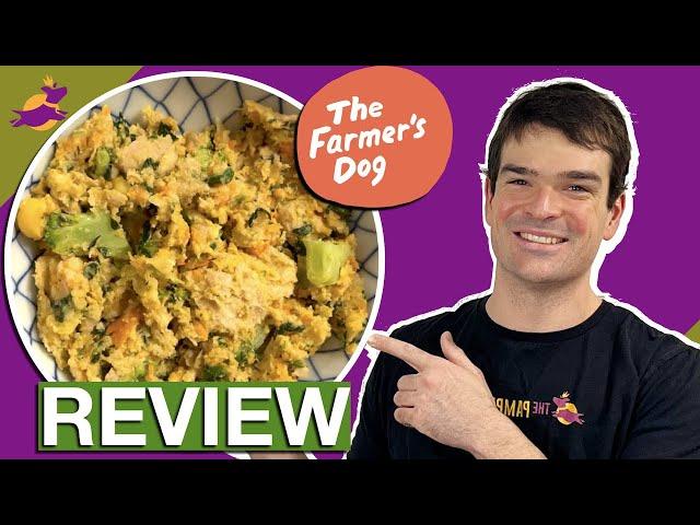 The Farmer's Dog Review (I Eat This Fresh Dog Food & Report Back)