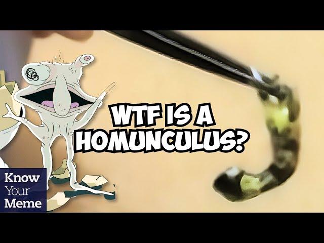 What is A Homunculus? Smiling Friends Reference To Russian Experiment Videos Explained