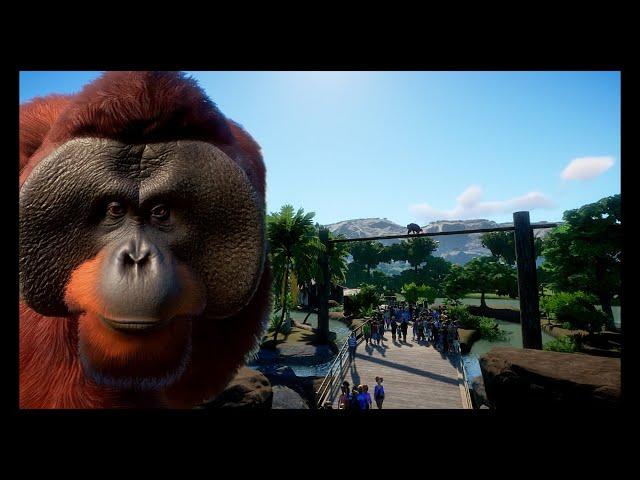 Orangutan Habitat Build | Planet Zoo Speed Build | Planet Zoo