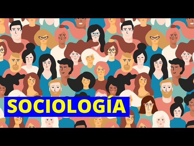 What is SOCIOLOGY and what does it study? Branches, importance and examples‍