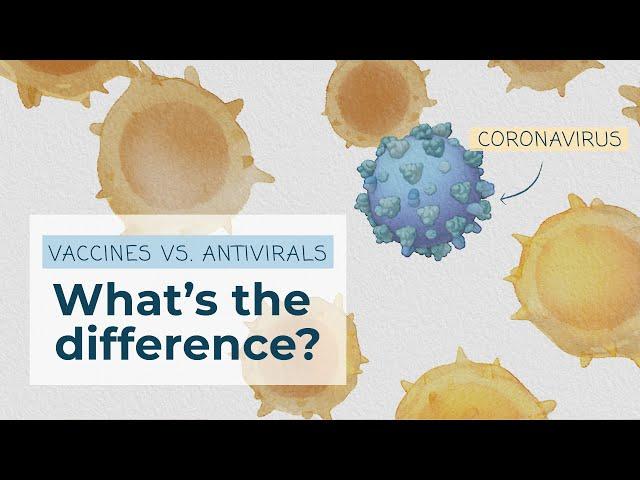 COVID-19 Vaccines vs. Antivirals: What’s the difference?