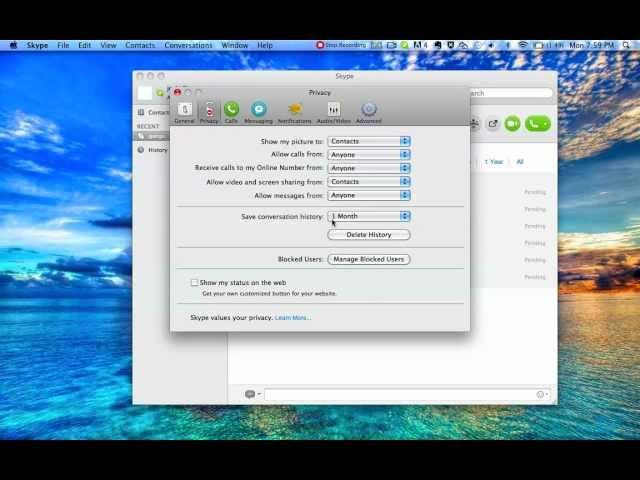 how to delete skype history mac