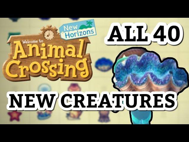 All 40 New Sea Creatures | Animal Crossing New Horizons