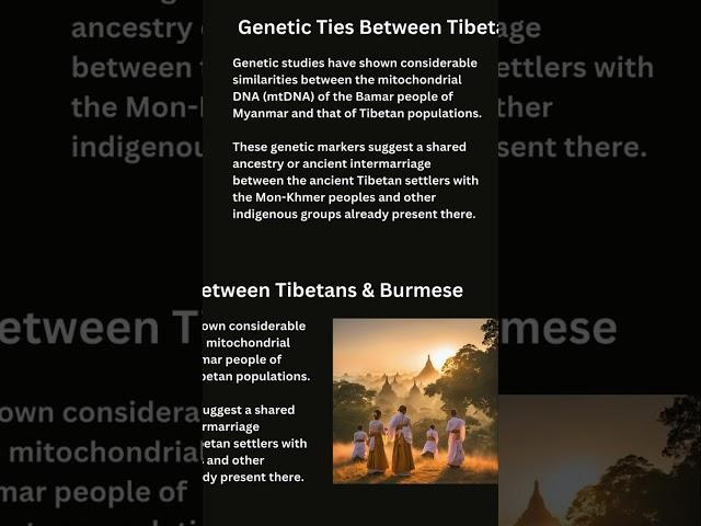 Spread of the Tibeto-Burman Language Family Through Migrations Out of Tibet