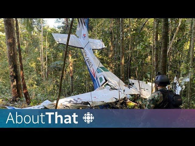 Forty days in the Amazon: How four kids survived a plane crash | About That