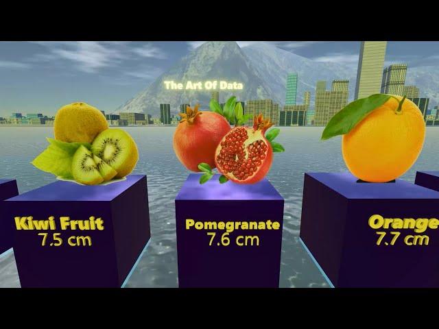 Different Fruits Size -  3D Comparison