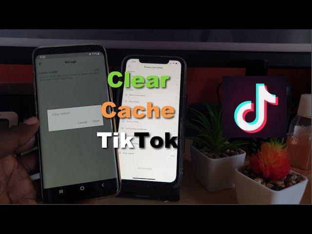 How to Clear TikTok Cache (iPhone and Android)