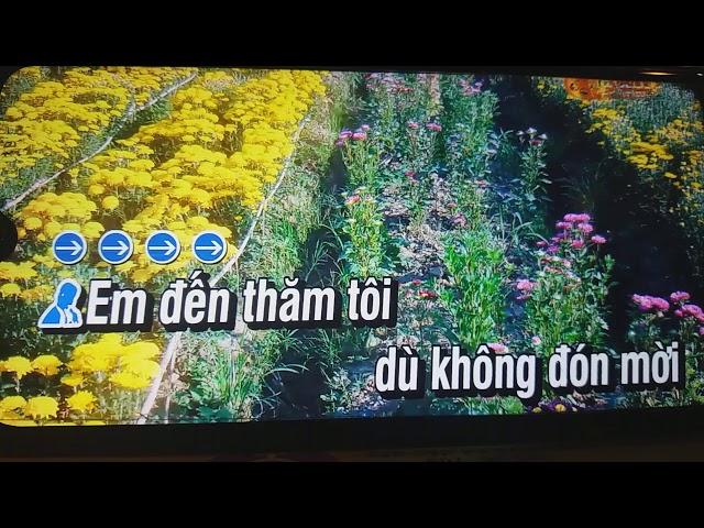 DU ANH NGHÈO THIẾU GIONG NAM