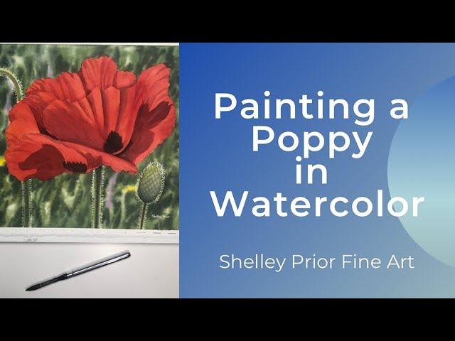 Painting a Poppy in Watercolor