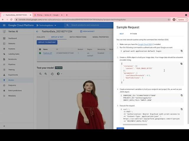 Google Vertex AI  : Endpoint  and Testing the Model Endpoint