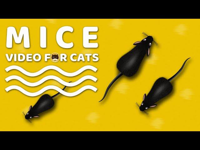 CAT GAMES - Mice. Mouse Sounds Video for Cats | CAT & DOG TV.