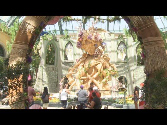 FIRST LOOK: Summer display at Bellagio Conservatory