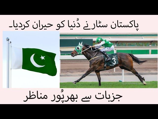 Pakistan Star | No1 Horse | Horse Racing