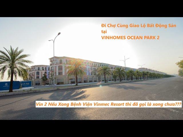 Đi Chợ Cuối Năm Với BĐS Vinhomes Ocean Park 2 - Xem Tiến Độ Bệnh Viện Vinmec