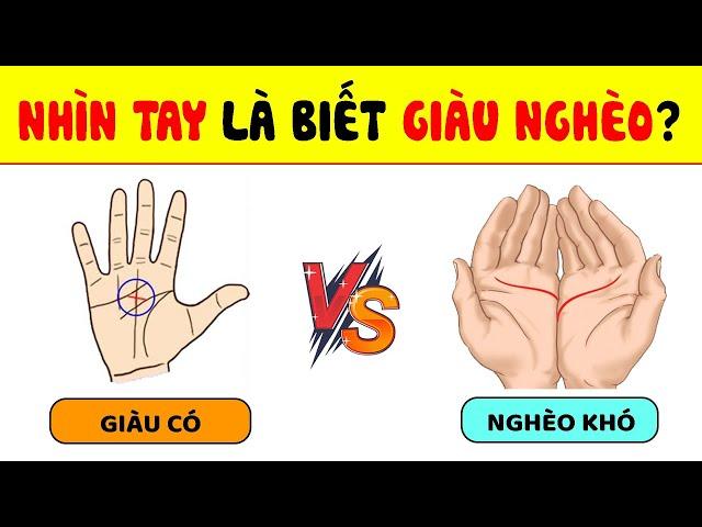 Test Tính Cách Bạn Là Người Tốt Hay Xấu - 99% Chính Xác Qua Bài Trắc Nghiệm Đố Vui | Nhanh Trí