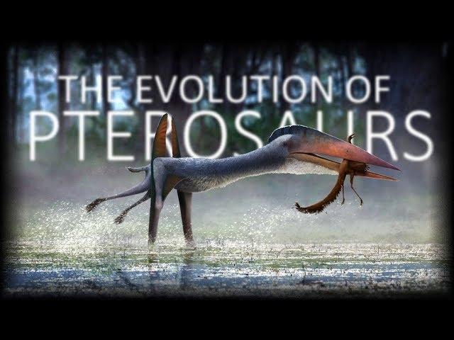 The Evolution of Pterosaurs