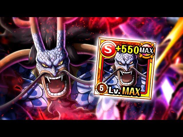 WHAT A MONSTER! Hybrid Kaido Showcase! OPTC 8th Anniversary Sugo-Fest!