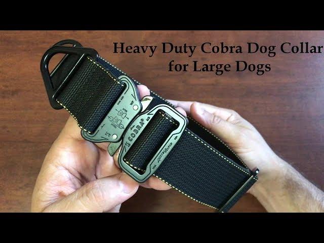 Tactical Dog Collar with Cobra Buckle from Miles Tactical