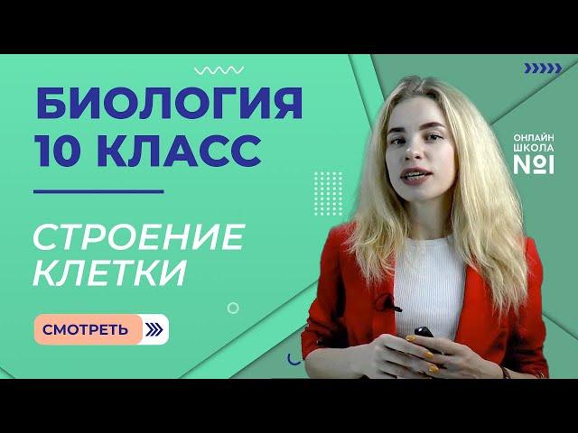 Урок 10. Строение клетки. Митохондрии. Пластиды. Органоиды движения. Биология 10 класс