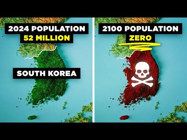Why South Korea is Literally Going Extinct