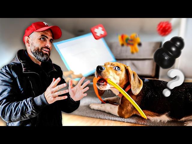 Mon chiot a  5 mois c’est la galère ! BEAGLE - Un café et c'est réglé Ep7