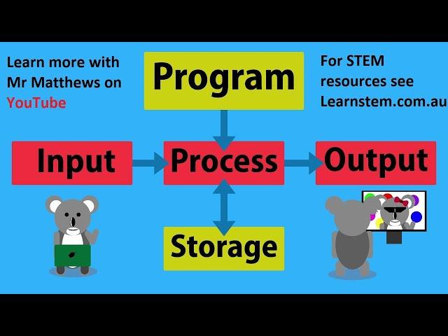 CS Basics: Input Process Output