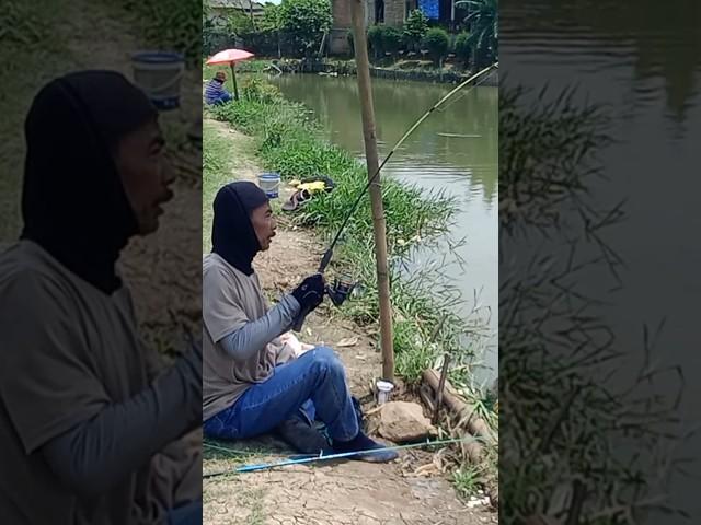 Strike guys #shorts #mancing #mancingikan #viralvideo #fishing #viralshorts #shortvideo #vlogvideo