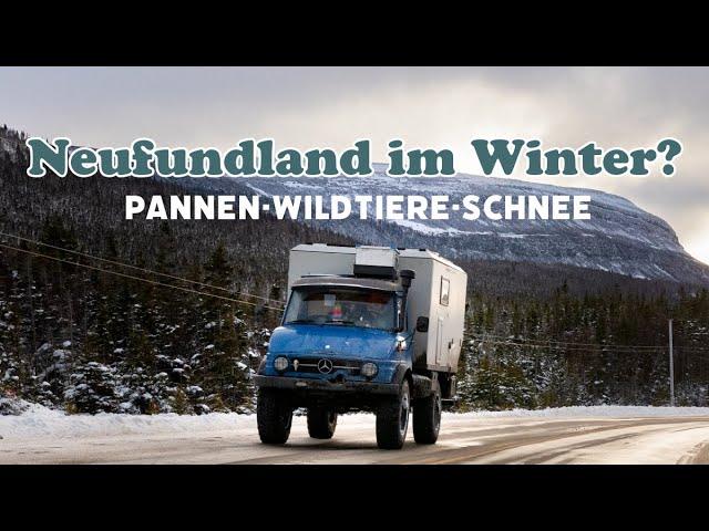 Mit dem Unimog ins Abenteuer: Die raue Schönheit Neufundlands erleben!