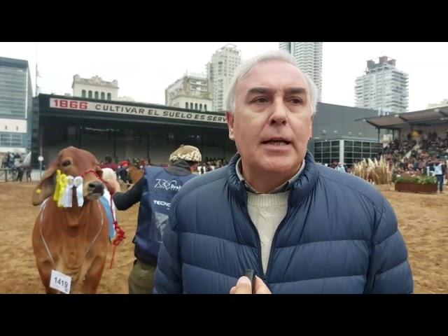 CORRIENTES CON DESTACADA PRESENCIA EN LA EXPO RURAL DE PALERMO