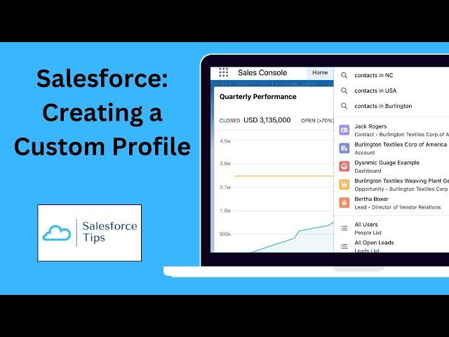 Salesforce Example: Creating a Custom Profile