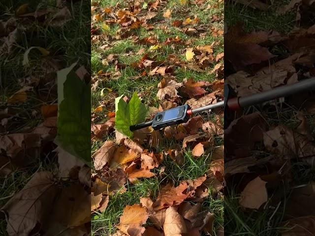 Floating Leaf 360 Camera Video Idea . Shot with Insta360 X3 #insta360