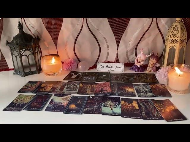 TAURUS   SURPRISE! NEW LOVE & SOMEONE WANTS REVENGE TAURUS  LOVE TAROT READING