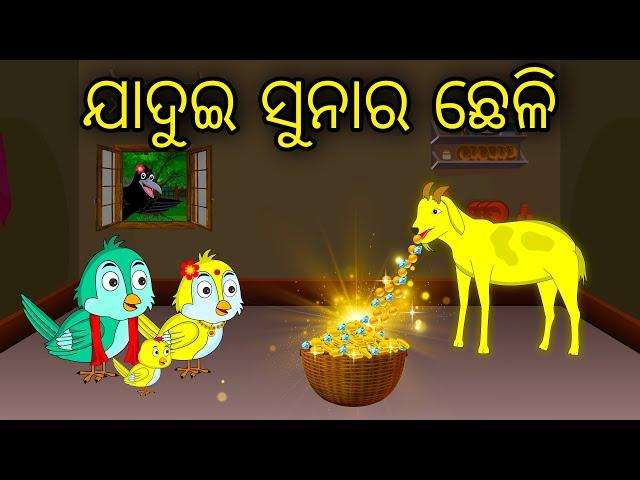 Jadui Sunara Cheli | Odia Cartoon | Odia Bird Stories | Odia Chadhei Gapa | Odia Moral Story