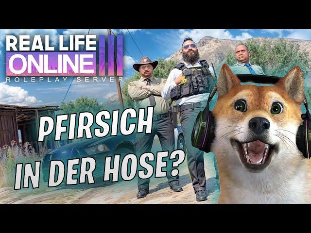 HERR KOLLEGE HAT KERNÖL HAARE?!- CSYON Stream Highlights